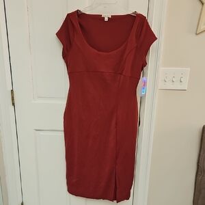 NWT Derek Heart Dress